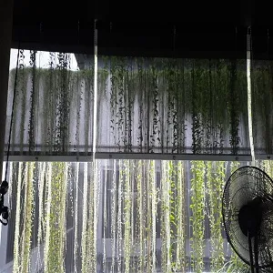 roller blind shinichi